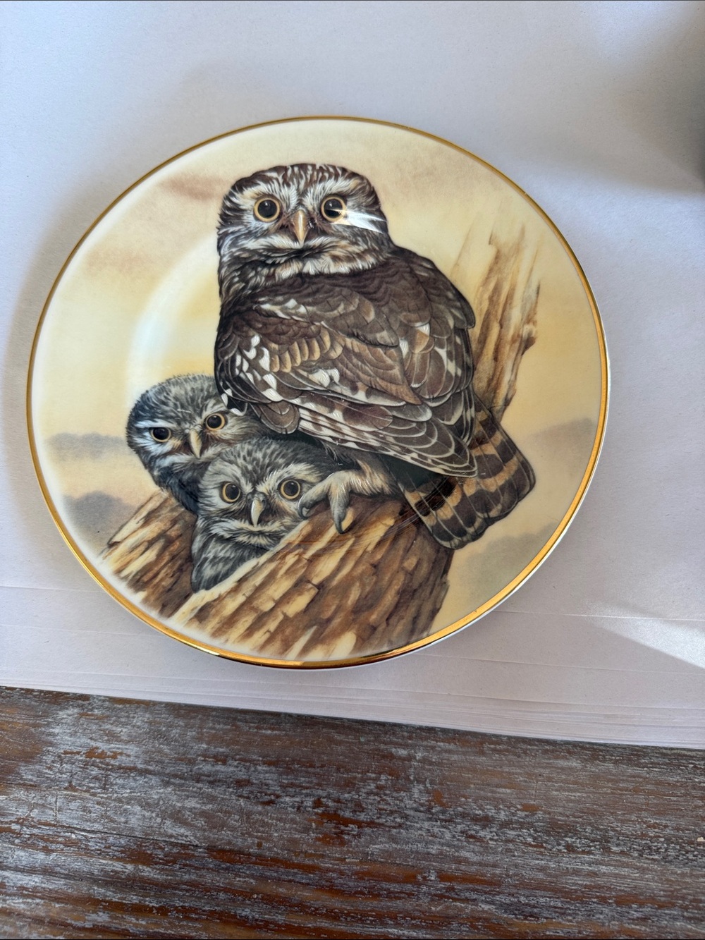Royal Doulton Brown, Cream and Gold Owl Family Decorative Plate